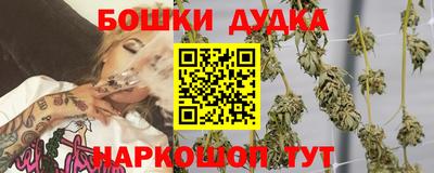 крисы Ставрополь