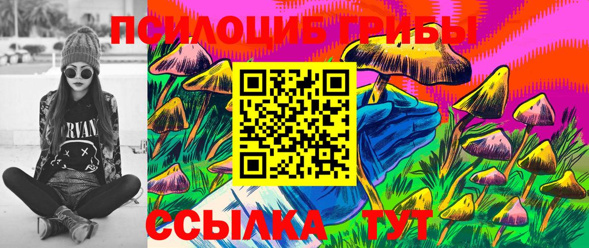 Полевской  закладка  Галлюциногенные грибы мицелий  Вход с VPN  Псилоцибиновые грибы Psilocybine cubensis 